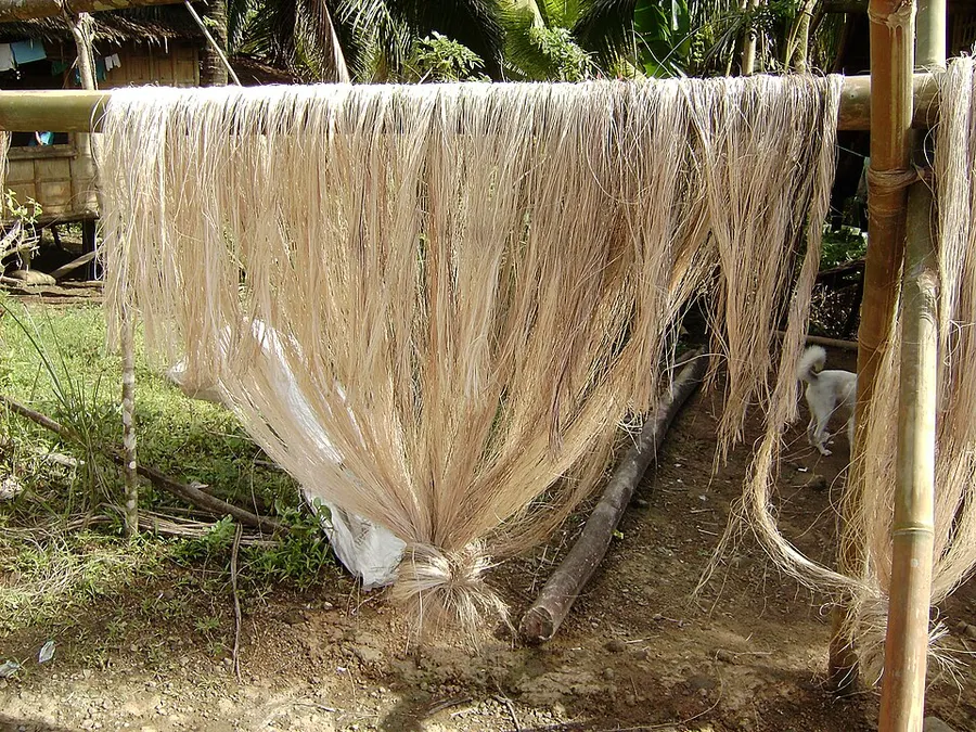 Abaca & Raffia Fibre — abaca